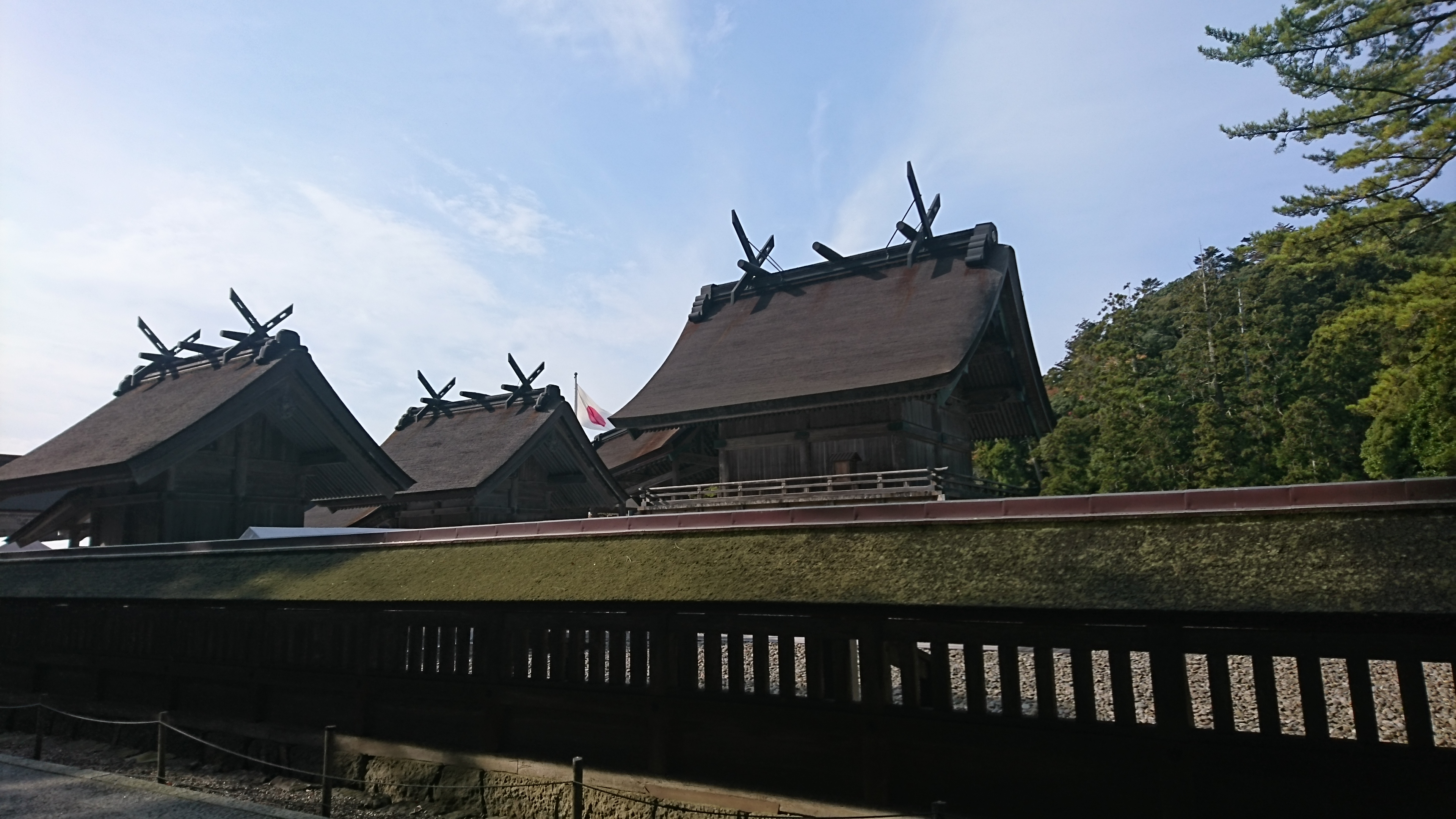 DSC_0227[1].JPG